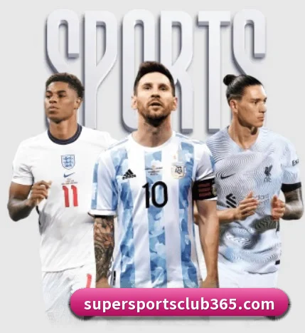五大服务分区,信息按项目分类 - super